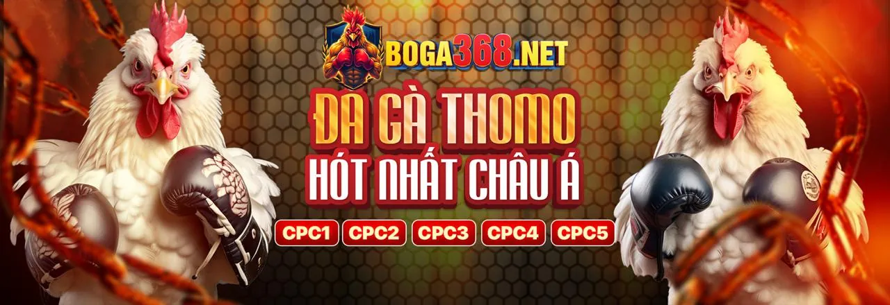 Hình ảnh đại diện 7 clubs