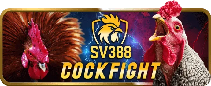 Cơ hội thắng lớn